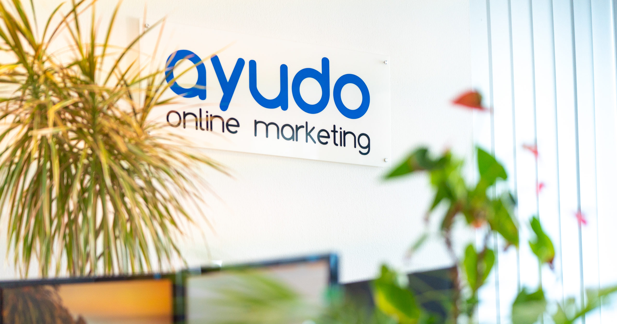 ayudo Online Marketing