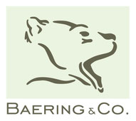 Baering & Co. Consulting GmbH