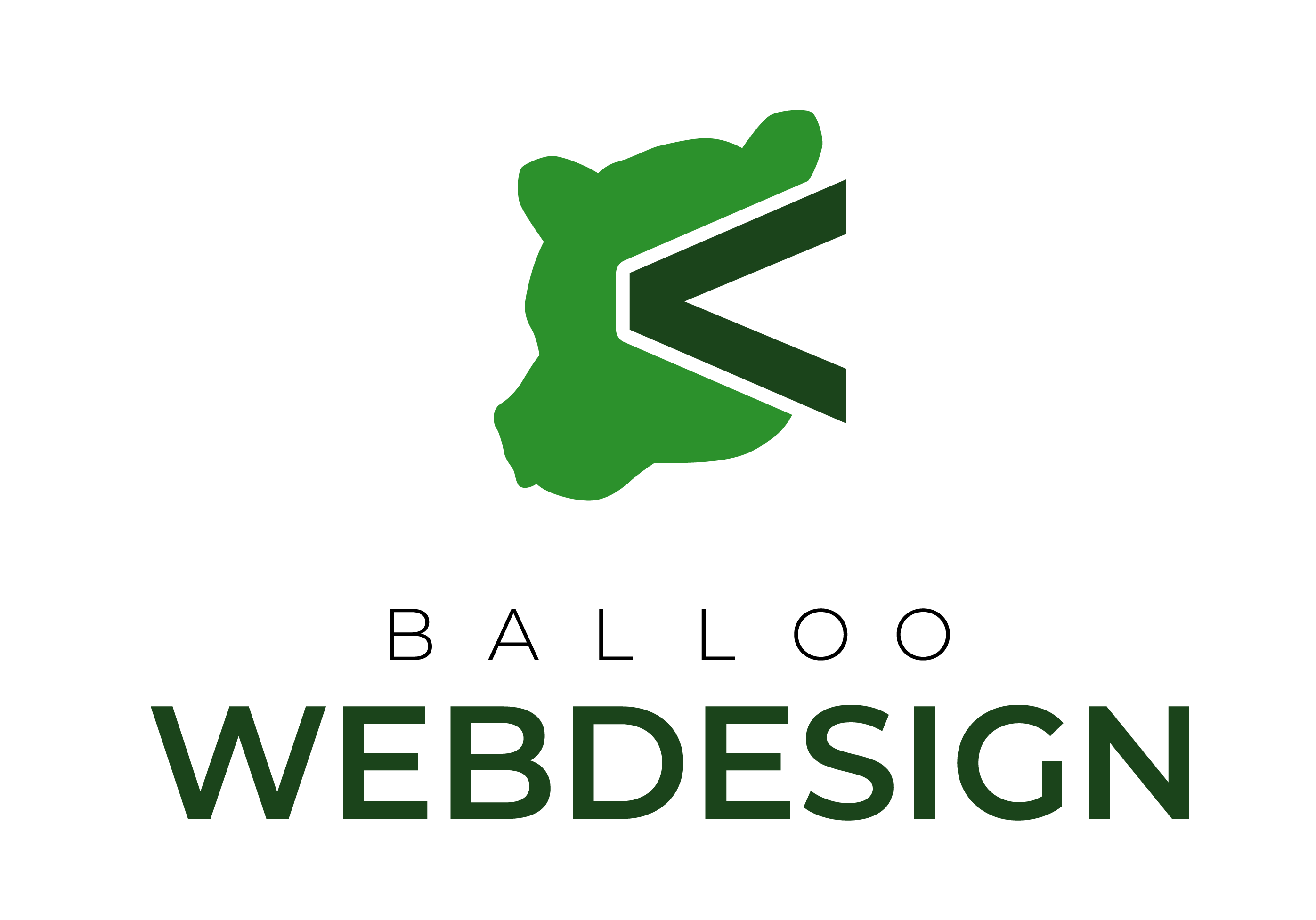Balloo Webdesign