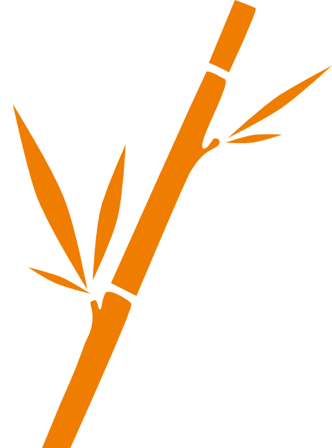 Bamboo Consulting GmbH