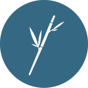 Bamboo Consulting GmbH