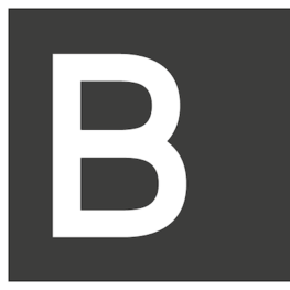 BrainData GmbH