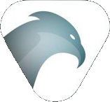 Buzzard AI