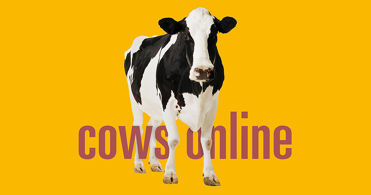 Cows Online GmbH