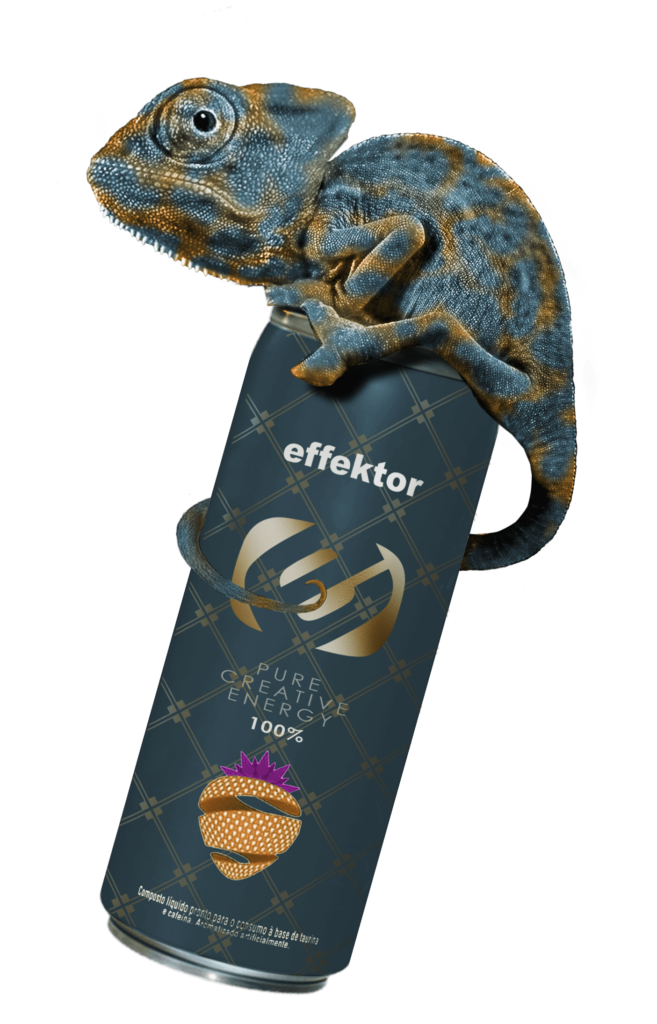 effektor e.K.