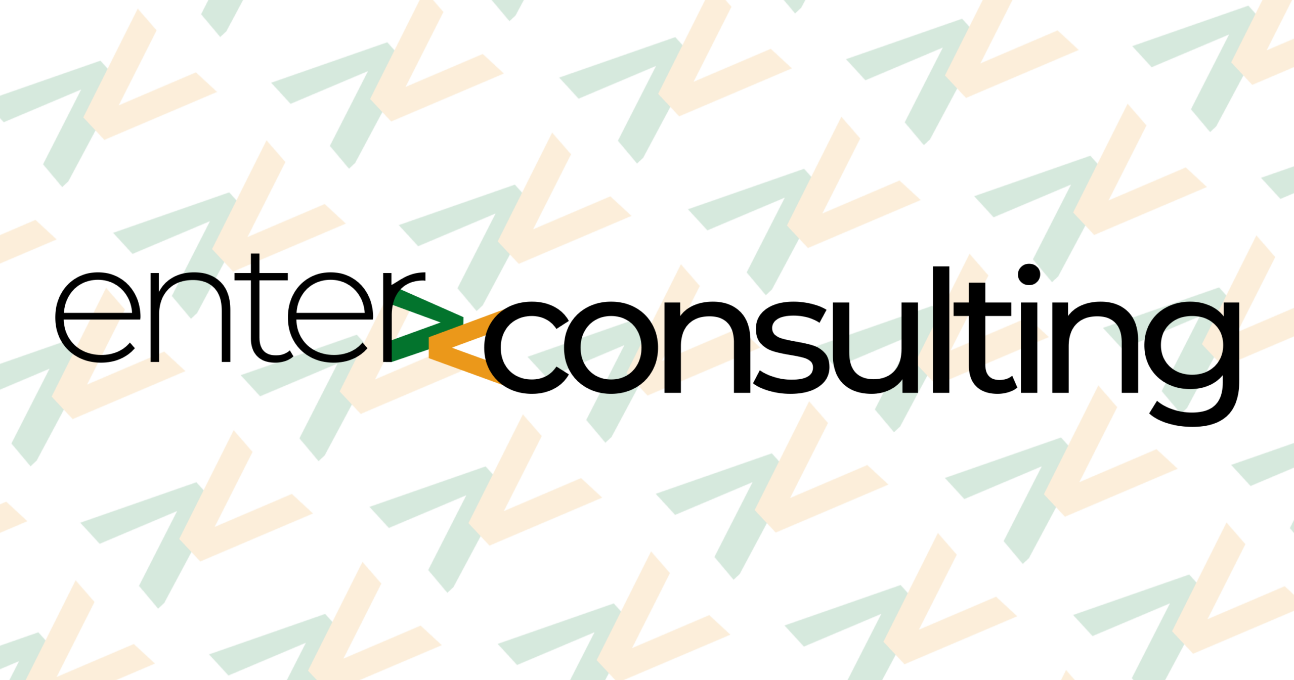enter:consulting