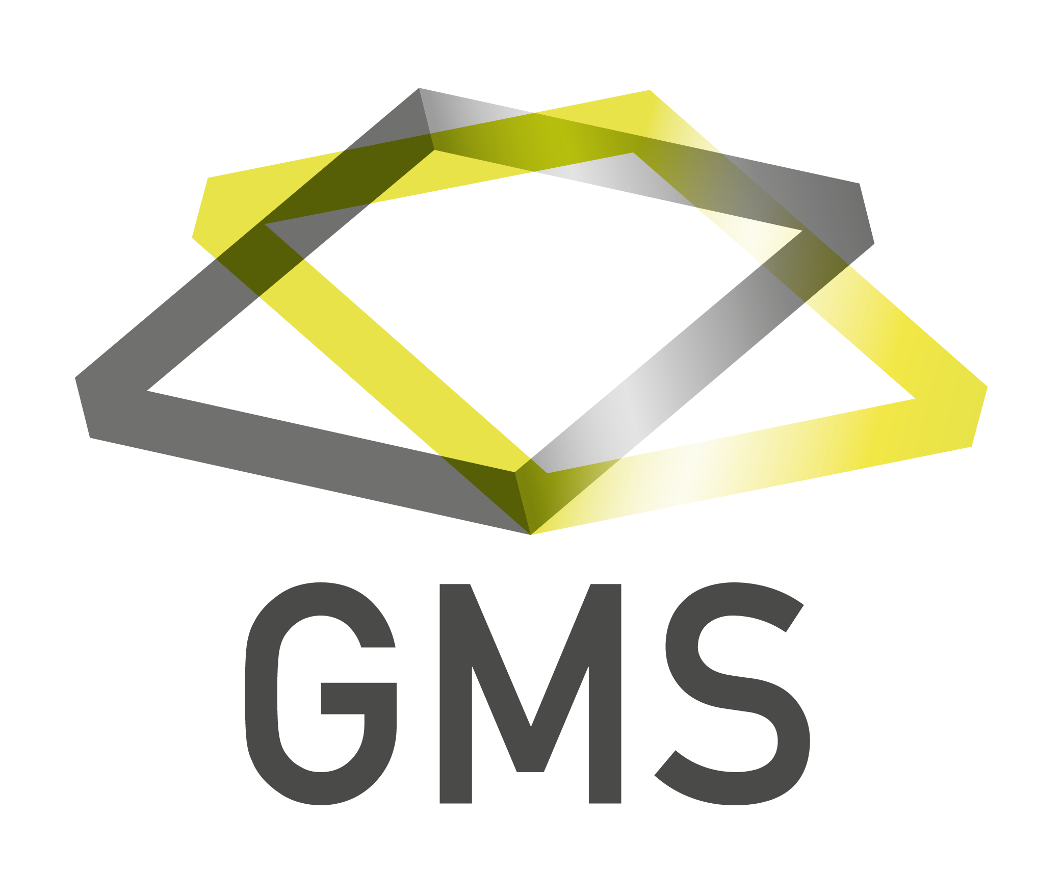 GMS - Gutbier Media Solutions GmbH