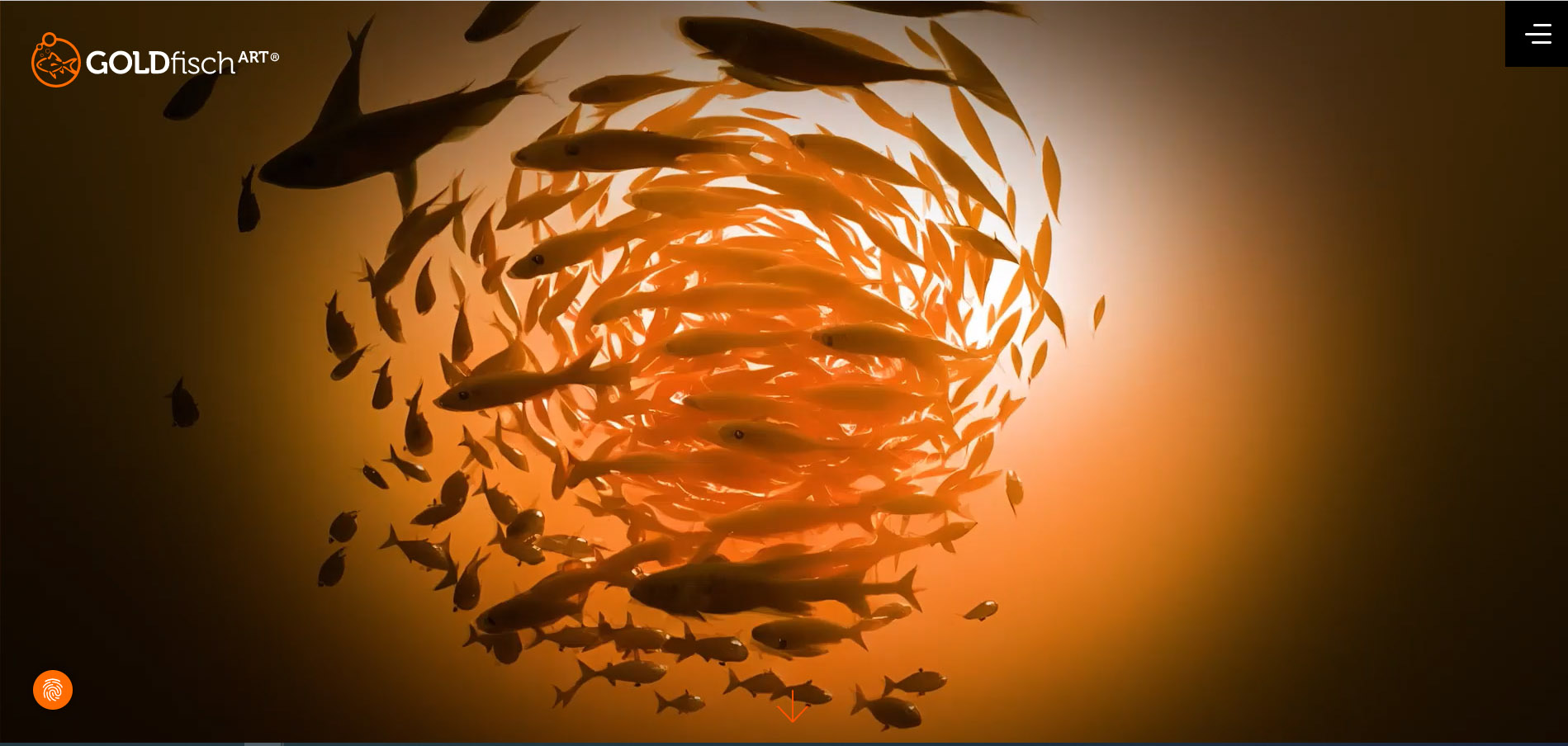 GOLDfisch ART GmbH