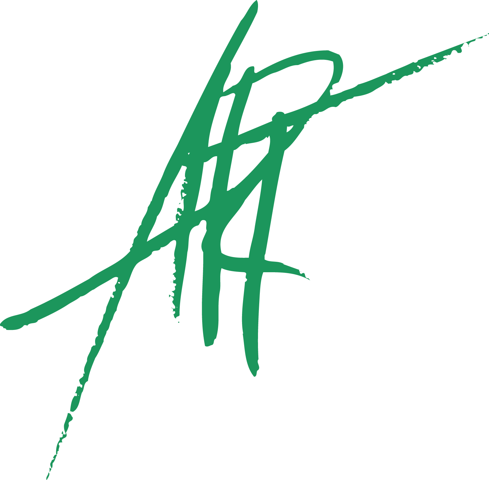Hartmann Nagel Art & Consulting