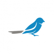 IT Sparrow UG