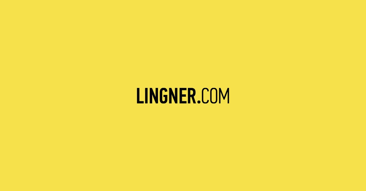 LINGNER CONSULTING NEW MEDIA GMBH
