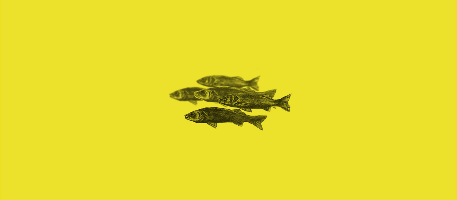 nørd design
