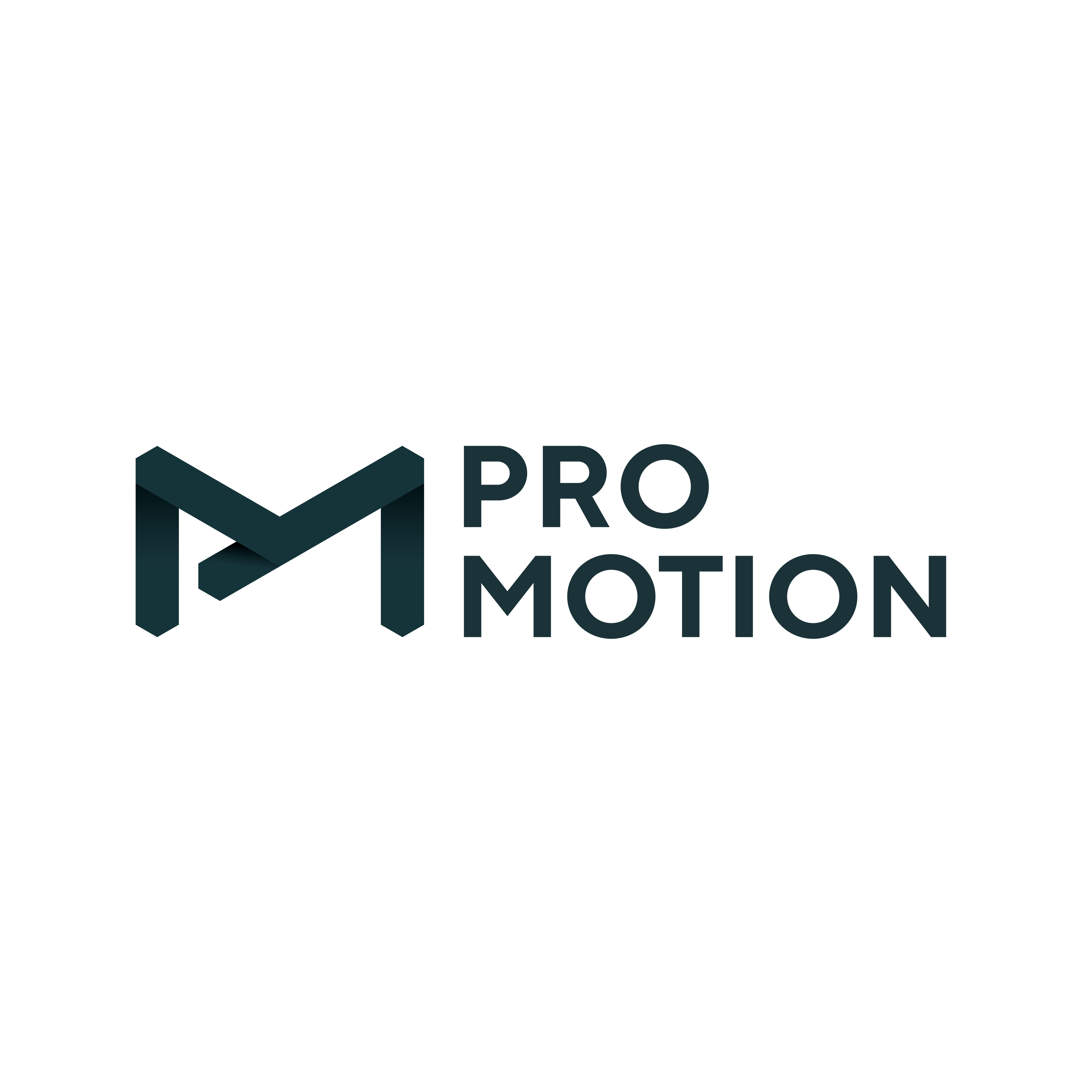 Pro Motion GbR