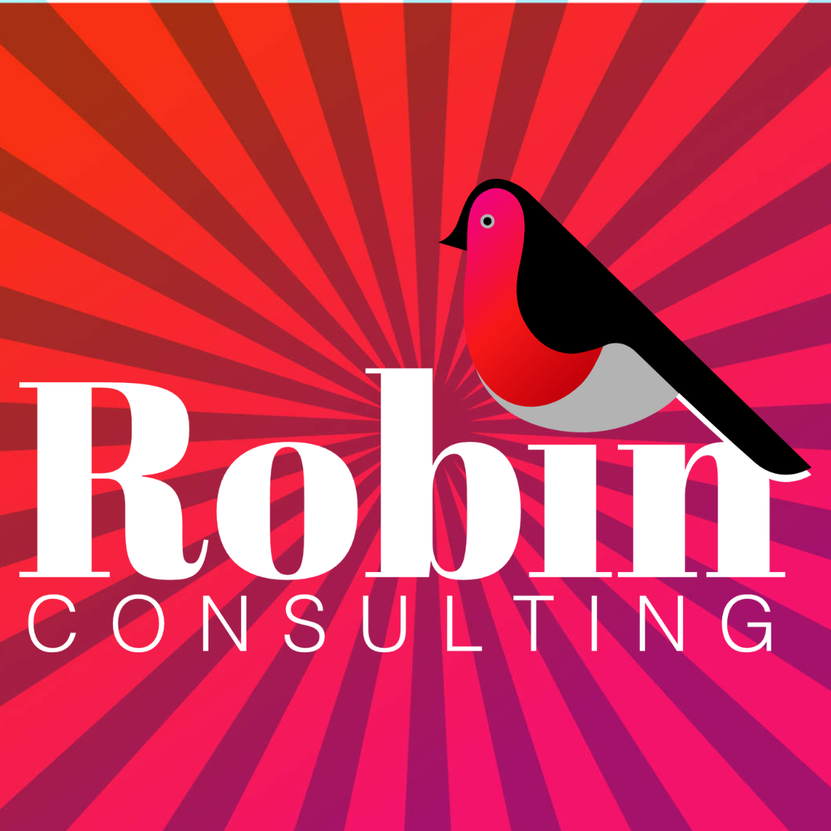 ROBIN Consulting GmbH