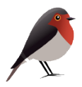 Robin GmbH