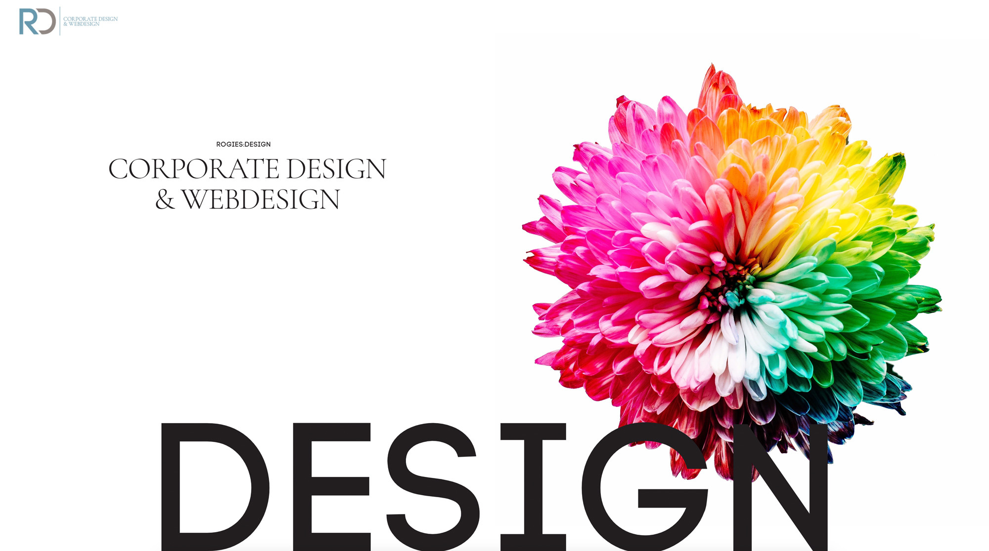 rogies:design