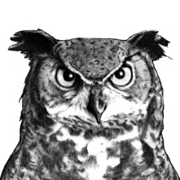 SCHUTZWERK GmbH