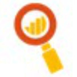 Seo Agentur Kiel