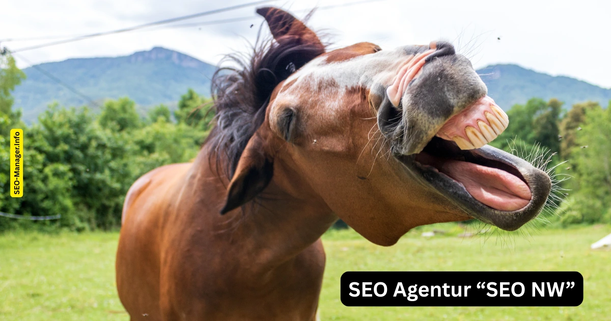 SEO NW
