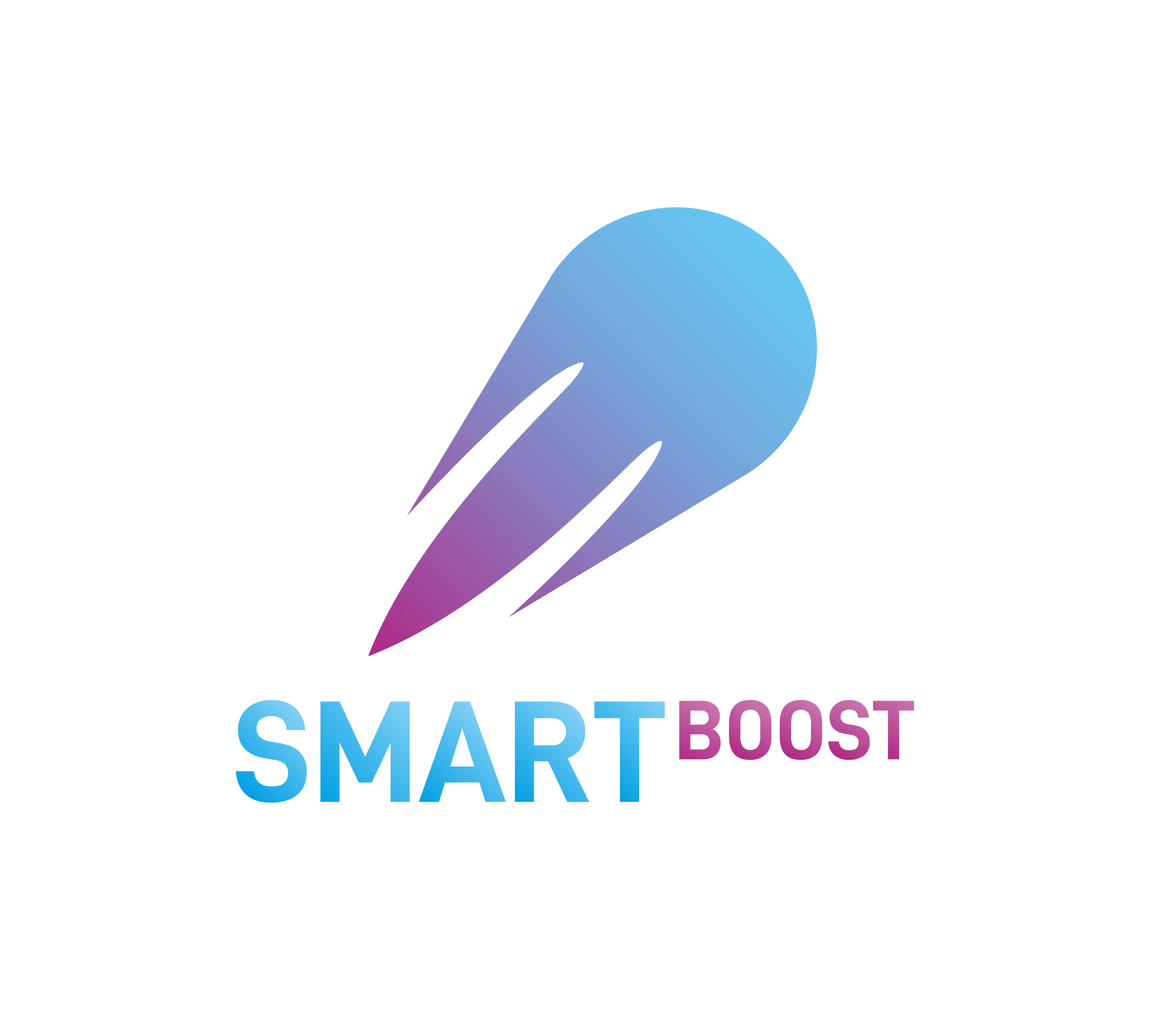 Smart Boost KG