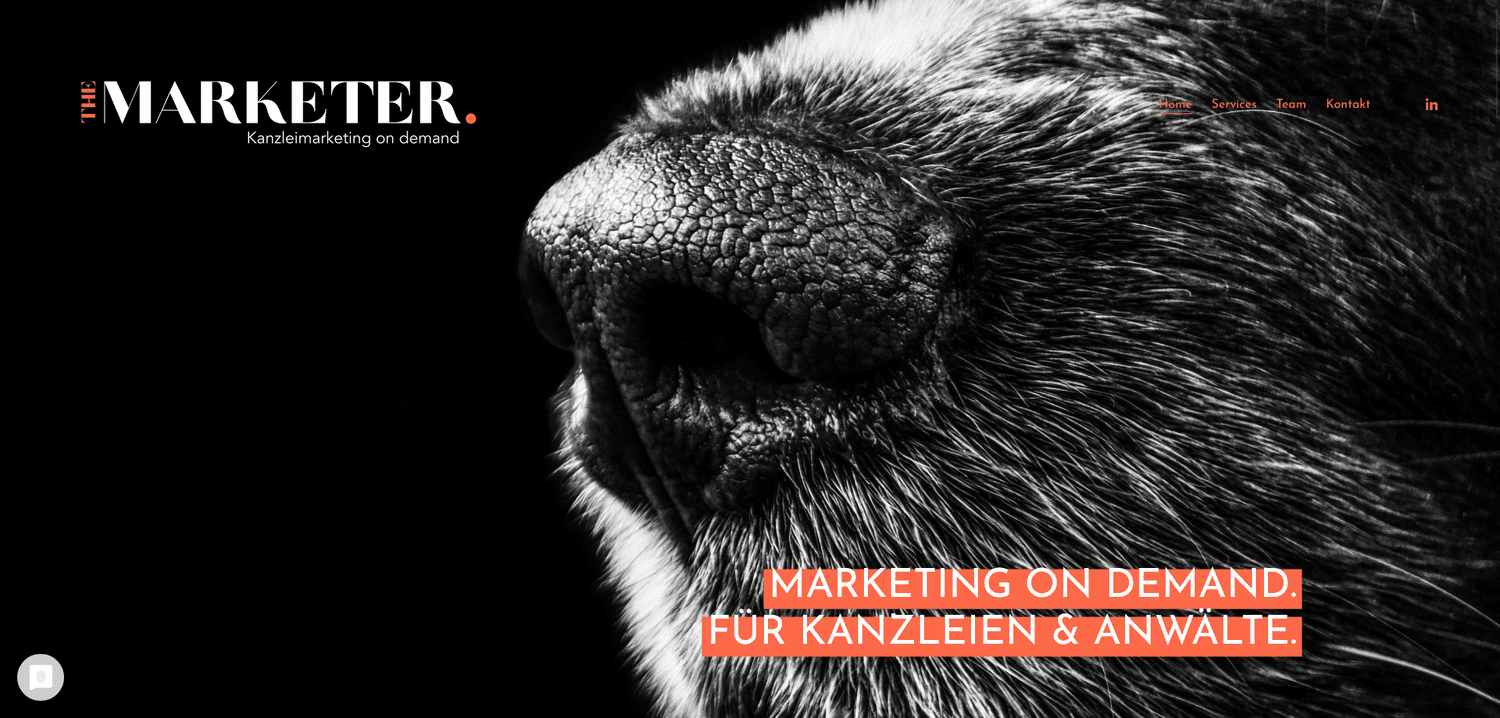 THE Munich MARKETER GmbH