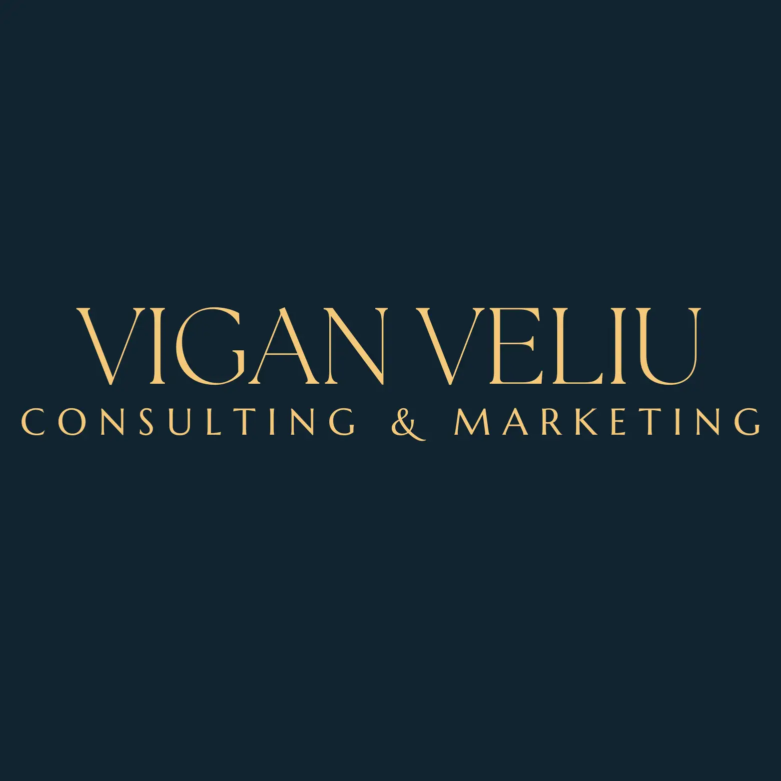 Vigan Veliu Consulting & Marketing