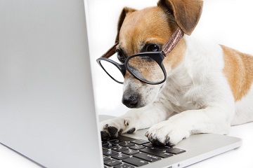 Webdesign & Suchmaschinenmarketing aus Wien - NALUMA GmbH
