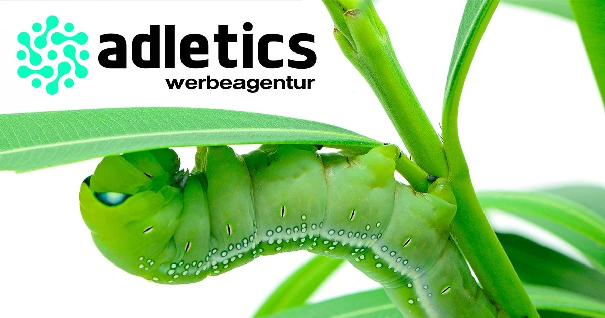 Werbeagentur Wiesbaden Adletics | Full Service Agentur