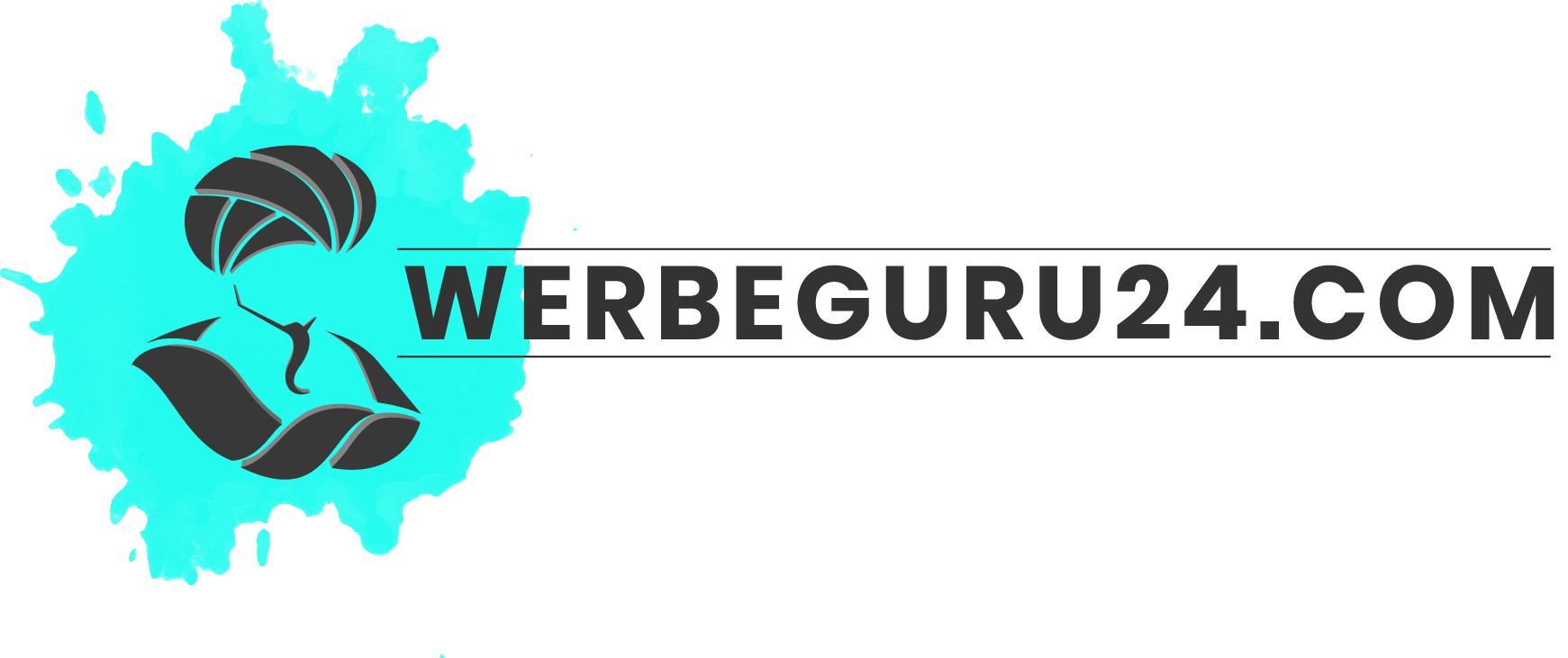 Werbeguru24.com