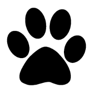 Werbeluchs