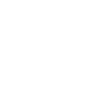 what when why GmbH & Co. KG