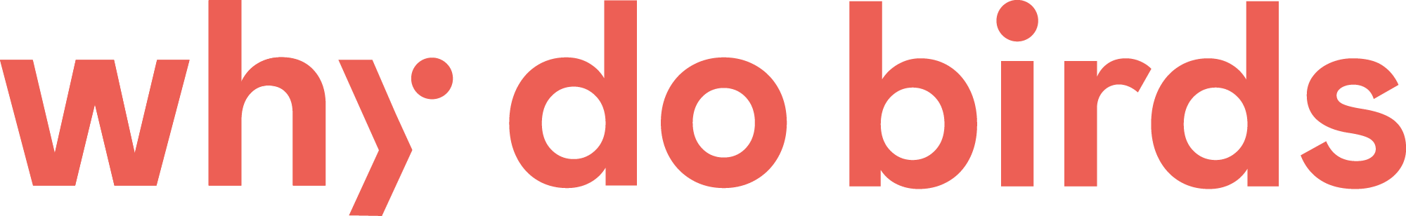 why do birds GmbH