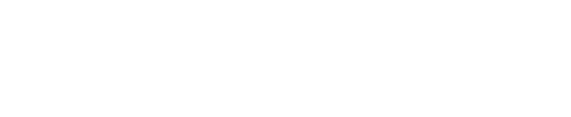 Wichmann IT-Services GmbH
